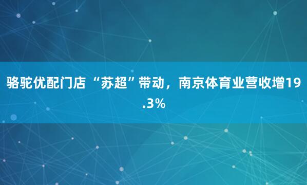 骆驼优配门店 “苏超”带动，南京体育业营收增19.3%