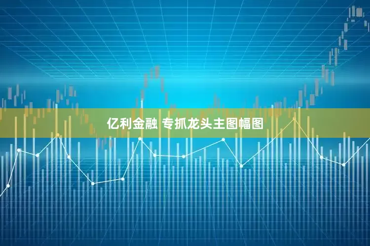 亿利金融 专抓龙头主图幅图